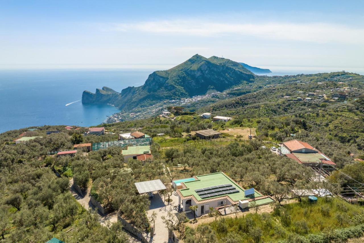 Villa Rusinella Minimalist Retreat With Sea Views Massa Lubrense Kültér fotó